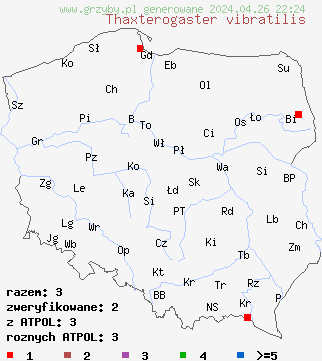 znaleziska Cortinarius vibratilis na terenie Polski