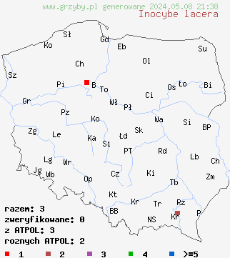 znaleziska Inocybe lacera (strzępiak poszarpany) na terenie Polski