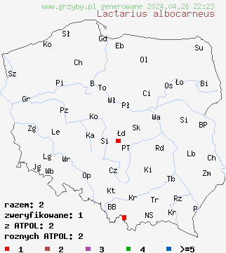 znaleziska Lactarius albocarneus na terenie Polski