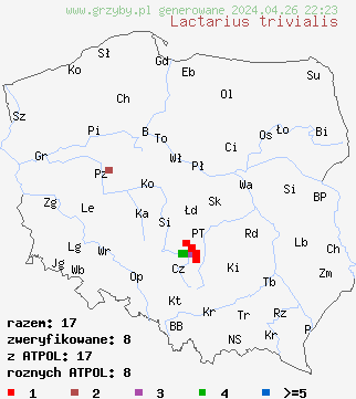 znaleziska Lactarius trivialis na terenie Polski