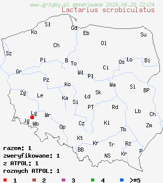 znaleziska Lactarius scrobiculatus na terenie Polski
