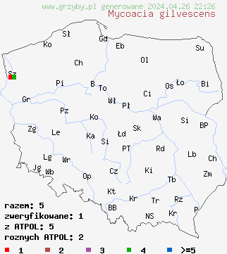 znaleziska Mycoacia gilvescens na terenie Polski