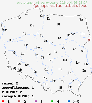 znaleziska Pycnoporellus alboluteus na terenie Polski