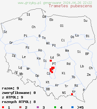 znaleziska Trametes pubescens na terenie Polski