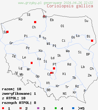 znaleziska Coriolopsis gallica na terenie Polski
