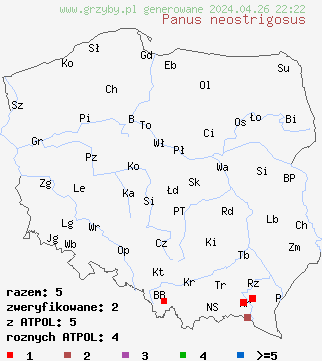 znaleziska Panus neostrigosus na terenie Polski