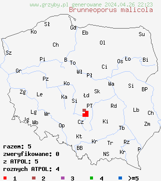 znaleziska Brunneoporus malicola na terenie Polski