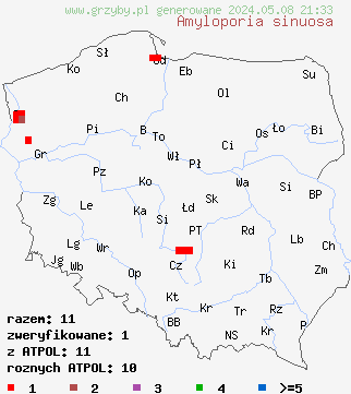 znaleziska Amyloporia sinuosa (jamkoporka pogięta) na terenie Polski