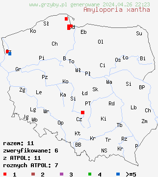 znaleziska Amyloporia xantha na terenie Polski