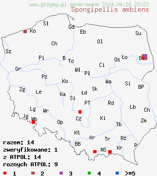 znaleziska Climacocystis borealis na terenie Polski