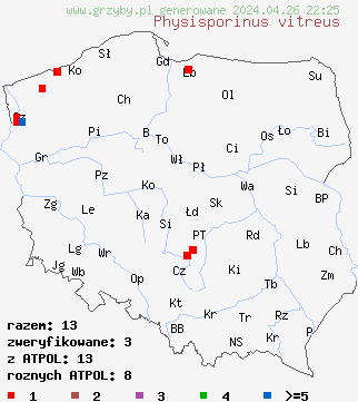 znaleziska Physisporinus vitreus na terenie Polski