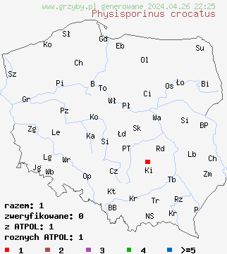 znaleziska Physisporinus crocatus na terenie Polski