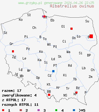 znaleziska Albatrellus ovinus na terenie Polski