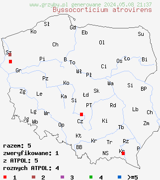 znaleziska Byssocorticium atrovirens (wełniczek niebieskozielonawy) na terenie Polski