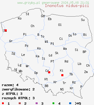 znaleziska Inonotus nidus-pici na terenie Polski