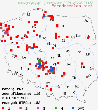 znaleziska Porodaedalea pini (czyrogmatwica sosnowa) na terenie Polski
