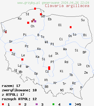 znaleziska Clavaria argillacea na terenie Polski