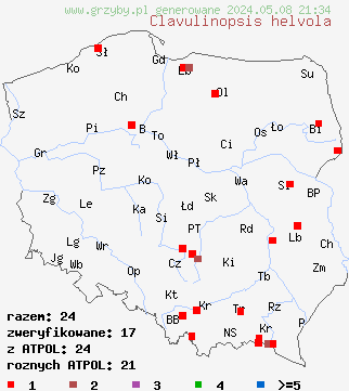 znaleziska Clavulinopsis helvola na terenie Polski