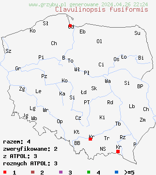 znaleziska Clavulinopsis fusiformis na terenie Polski