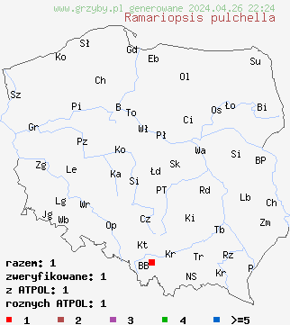 znaleziska Ramariopsis pulchella na terenie Polski