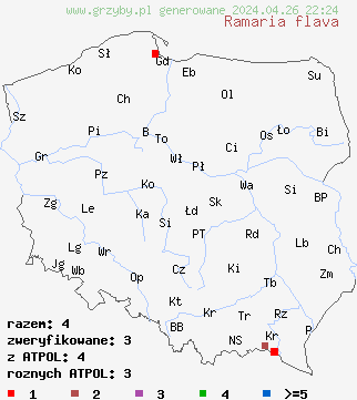 znaleziska Ramaria flava na terenie Polski