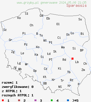 znaleziska Sparassis (siedzuń) na terenie Polski