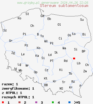 znaleziska Stereum subtomentosum na terenie Polski