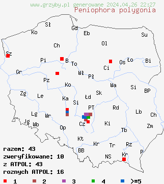 znaleziska Peniophora polygonia na terenie Polski