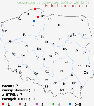 znaleziska Hydnellum caeruleum na terenie Polski
