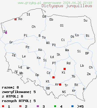 znaleziska Neoboletus junquilleus na terenie Polski