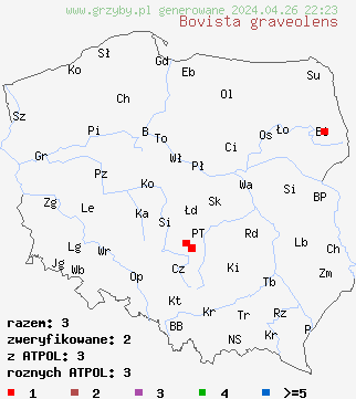 znaleziska Bovista graveolens na terenie Polski