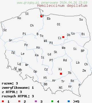 znaleziska Hemileccinum depilatum na terenie Polski