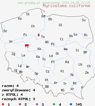 znaleziska Myriostoma coliforme na terenie Polski