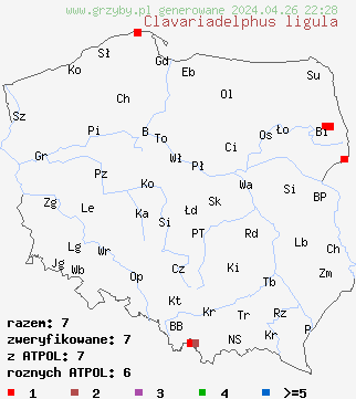 znaleziska Clavariadelphus ligula na terenie Polski