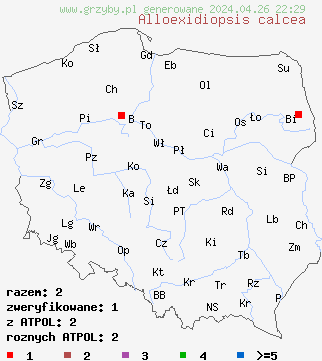 znaleziska Alloexidiopsis calcea na terenie Polski