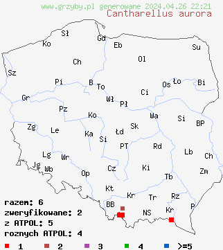 znaleziska Craterellus lutescens na terenie Polski