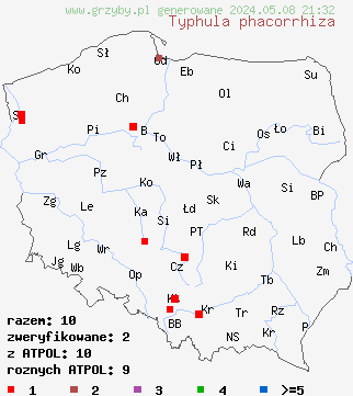 znaleziska Typhula phacorrhiza na terenie Polski