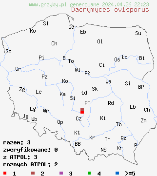 znaleziska Dacrymyces ovisporus na terenie Polski