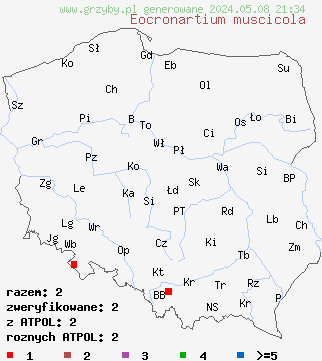 znaleziska Eocronartium muscicola na terenie Polski