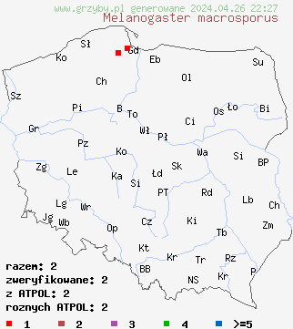 znaleziska Melanogaster macrosporus na terenie Polski