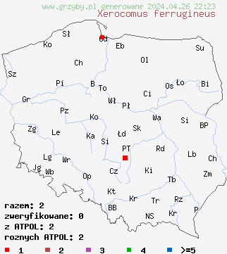 znaleziska Xerocomus ferrugineus na terenie Polski