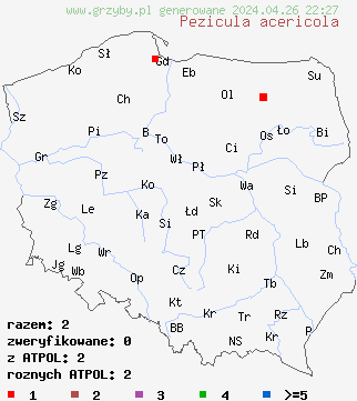 znaleziska Pezicula acericola na terenie Polski