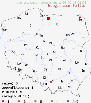 znaleziska Geoglossum fallax na terenie Polski