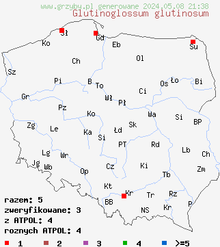 znaleziska Glutinoglossum glutinosum na terenie Polski
