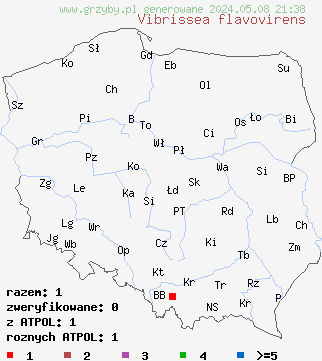 znaleziska Vibrissea flavovirens na terenie Polski