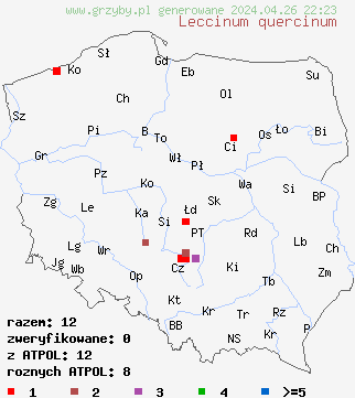 znaleziska Leccinum quercinum na terenie Polski