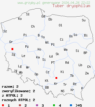 znaleziska Tuber dryophilum na terenie Polski