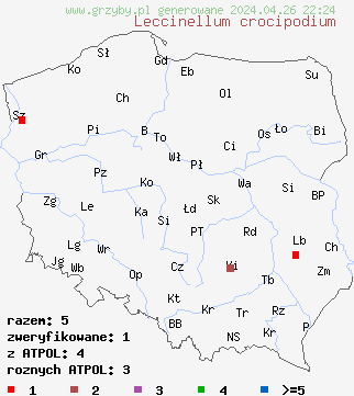 znaleziska Leccinellum crocipodium na terenie Polski