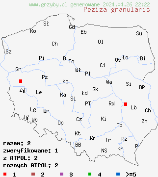 znaleziska Peziza granularis na terenie Polski