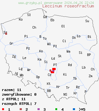znaleziska Leccinum roseofractum (koÅºlarz czarnobrÄ…zowy) na terenie Polski